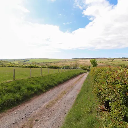 Kirkland Howe Frizington